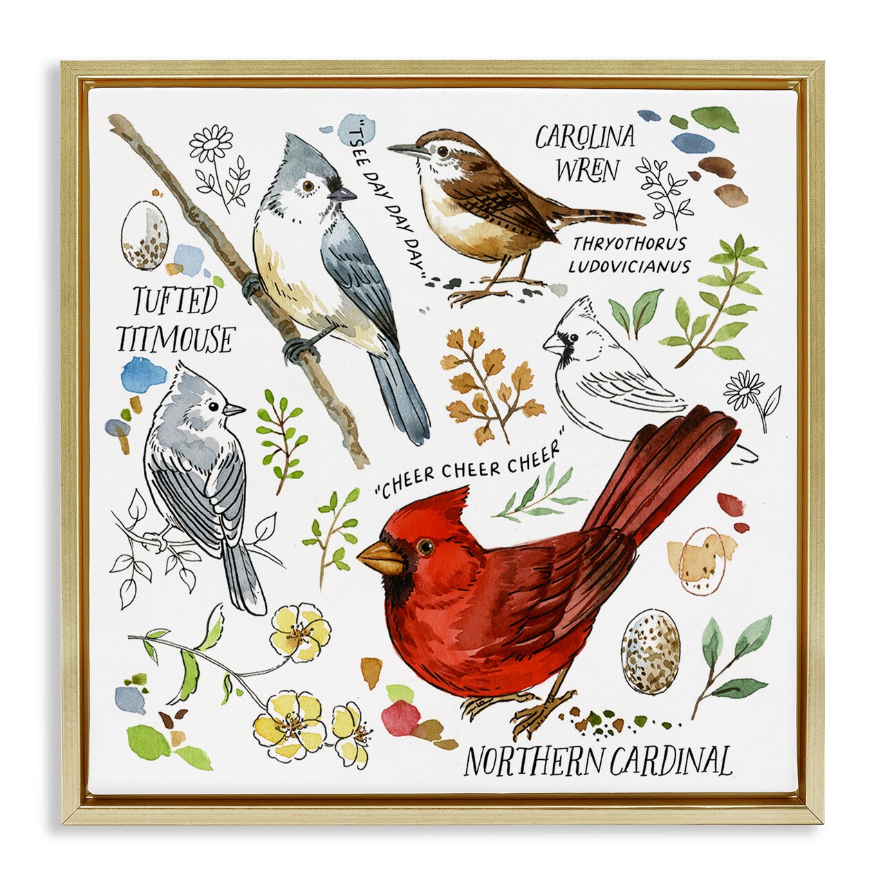 Stupell Industries Bird Watching Chart Framed Floater Canvas Wall Art Design by Jane Maday